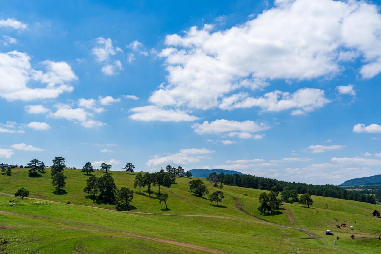 Lux Apartman Monet Apartment Zlatibor Luaran gambar